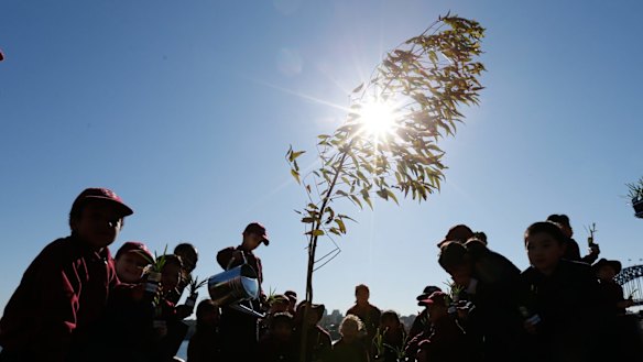 Labor says the government's environment grants program is designed to favour voters in Coalition seats. 