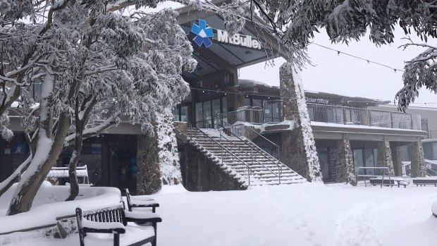 Mt Buller has been blanketed with 40cm of fresh snow after a cold snap moved across Victoria on Friday. 