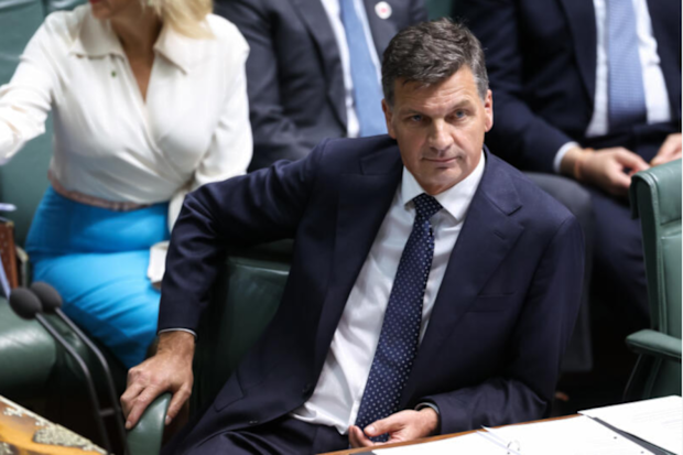 Opposition Leader Angus Taylor during question time at Parliament House in Canberra