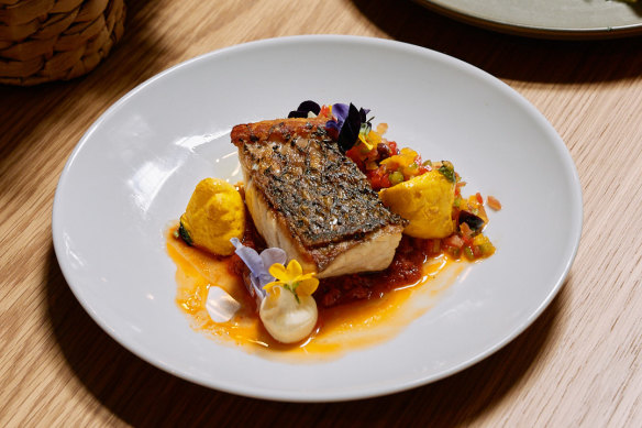 Market fish with matbucha, creme fraiche, char grilled squash and Peruvian salsa criolla.