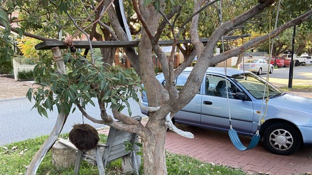 ‘Streets should be for people’: Nedlands family fight back over verge swing fine