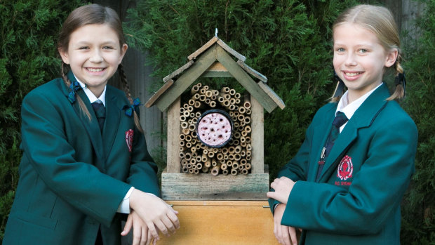 Amelia Lai and Caitlyn Walker have won this year's Australian Museum Eureka Prize for primary school science.