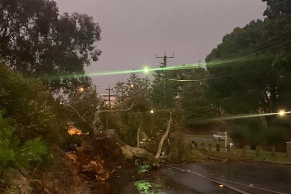 First powerful storm of the season leaves thousands without power and ...