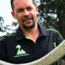 Four more Queenslanders bitten by snakes