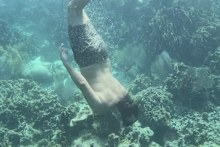 Joshua Mundey descends in a vertical dive on the Belize Barrier Reef.