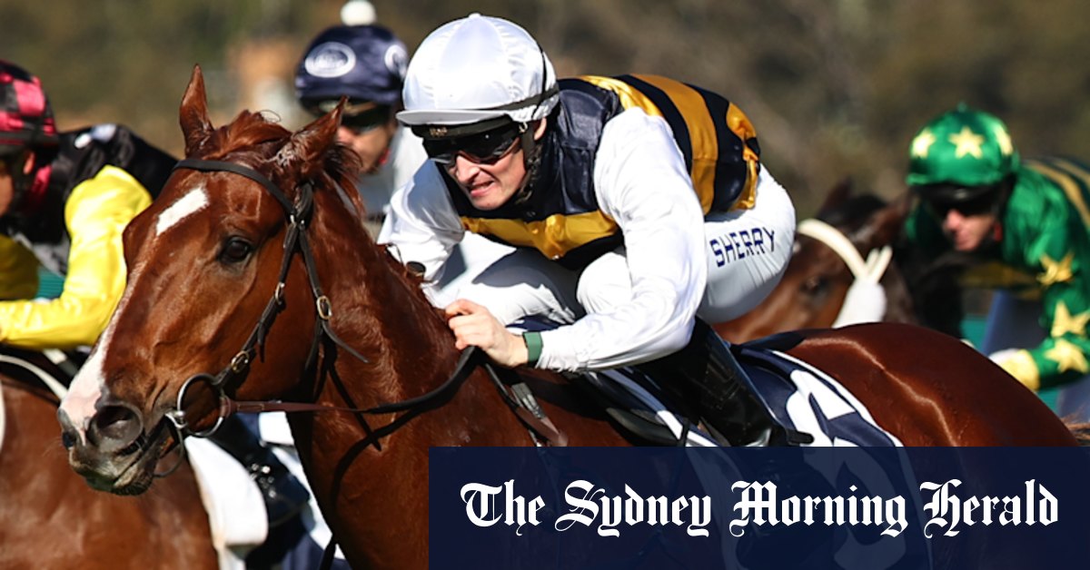 Race-by-race preview and tips for Rosehill on Saturday