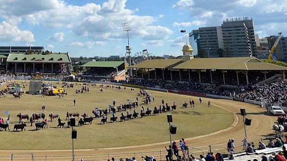 Work to improve the historic Ernest Baynes (left) and John MacDonald (right) grandstands at the RNA Showgrounds will begin as soon as this year’s Ekka is over.
