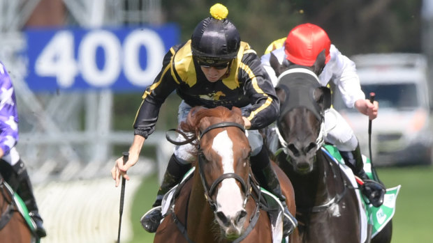 Golden touch: Jason Collett's soft hands helped Nicci's Gold salute at Warwick Farm on Saturday. 