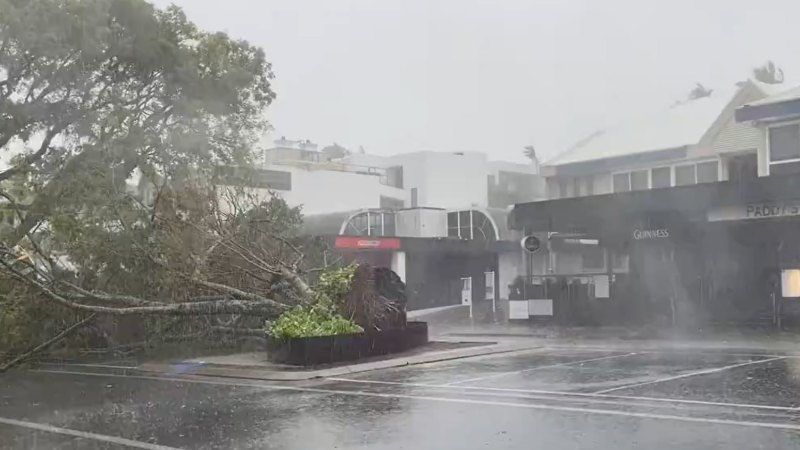 Cyclone Jasper crashes into Queensland coast, with fruit pickers in panic