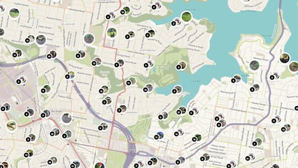 Sydney University's Matthew Hall has developed a smartphone app via Spotteron to crowd source bush turkey sightings. 