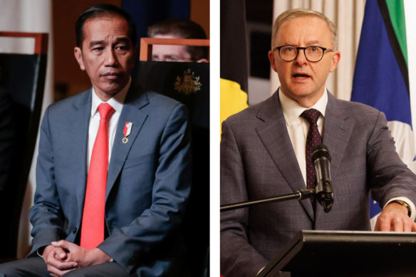 Joko Widodo and Anthony Albanese met in Jakarta in June.