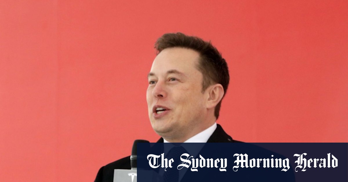 Elon Musk releases cheaper Model Y and Model 3 models