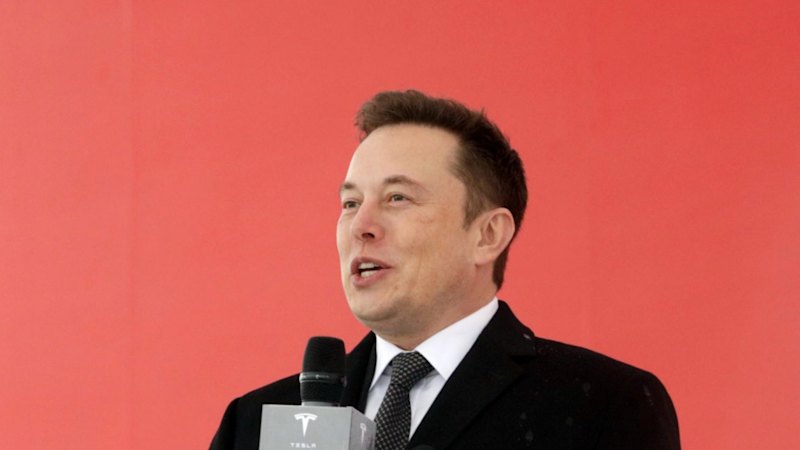 Tesla unveils lower-cost models in drive to reignite sales