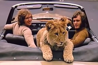 John Rendall, right, and Anthony Bourke, with Christian the lion in their Mercedes cabriolet.