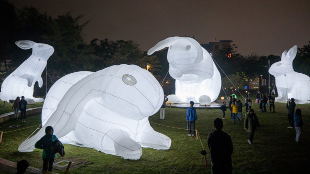 Australian artist Amanda Parer's Intrude installation features illuminated rabbits.