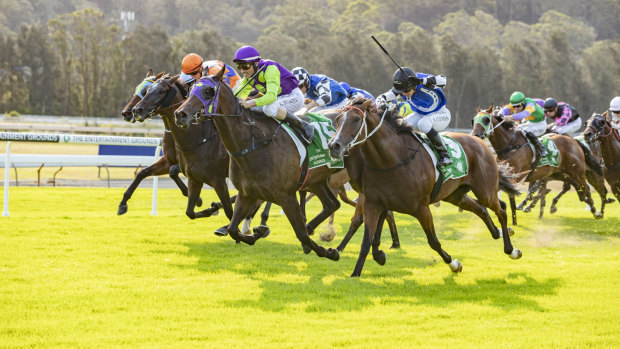 Racing heads to Gosford on Thursday.