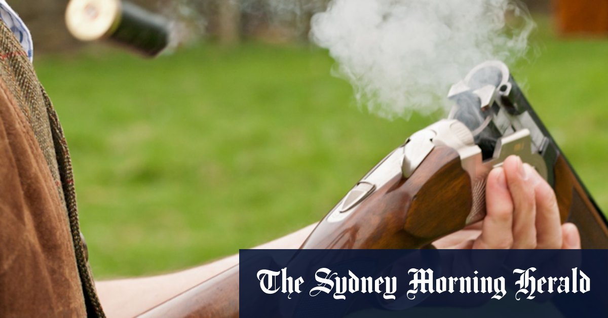 WA guns portal issues clear, but firearms committee still backs Cook’s reforms