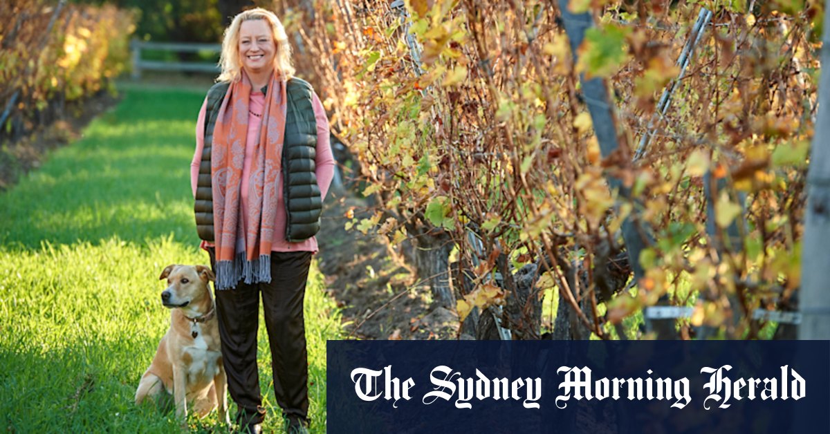 South West winery, restaurant owners lament 'playing police' during limited weekend - Vimarsana News