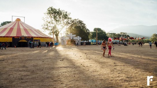The Pitch Festival was shut down due to extreme heat and fire danger. What can the Australian music festival industry learn from it? 