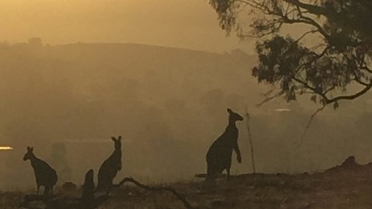 Government revives bid to dump corridor preserved for Monash Drive