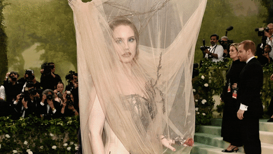 Met Gala gif