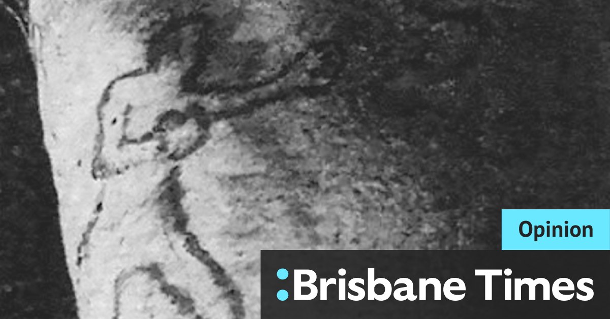 Elizabeth Bay shark attack: Recalling Sydney Harbour's most famous shark tales - Vimarsana News