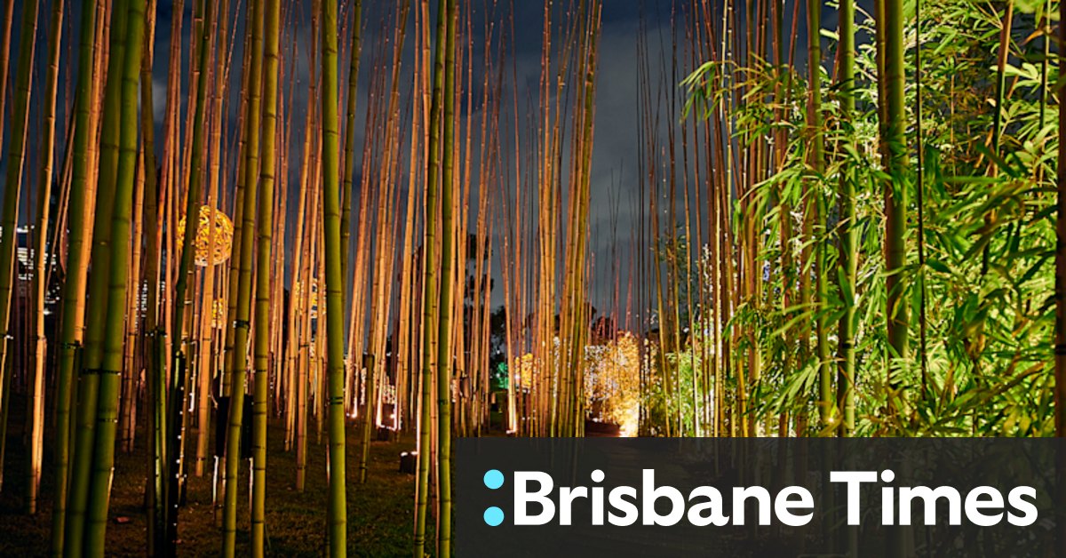 Hot winter nights: your guide to the Rising festival in Melbourne - Vimarsana News