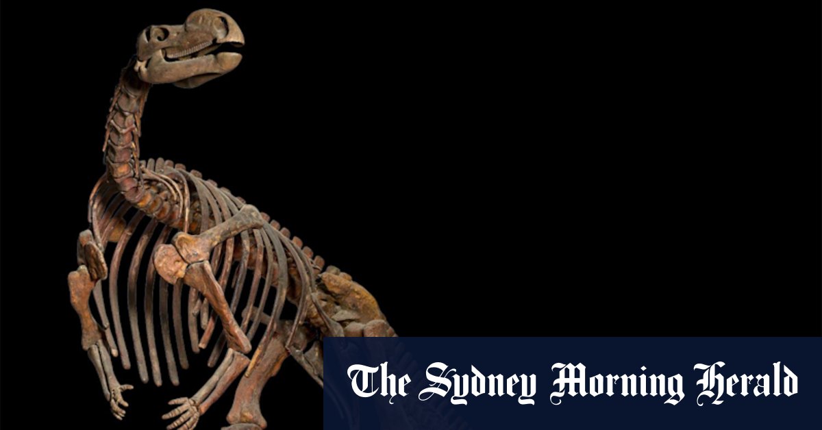 Qld icon takes on heavyweight in title fight, but only one emerges as State Fossil - Vimarsana News
