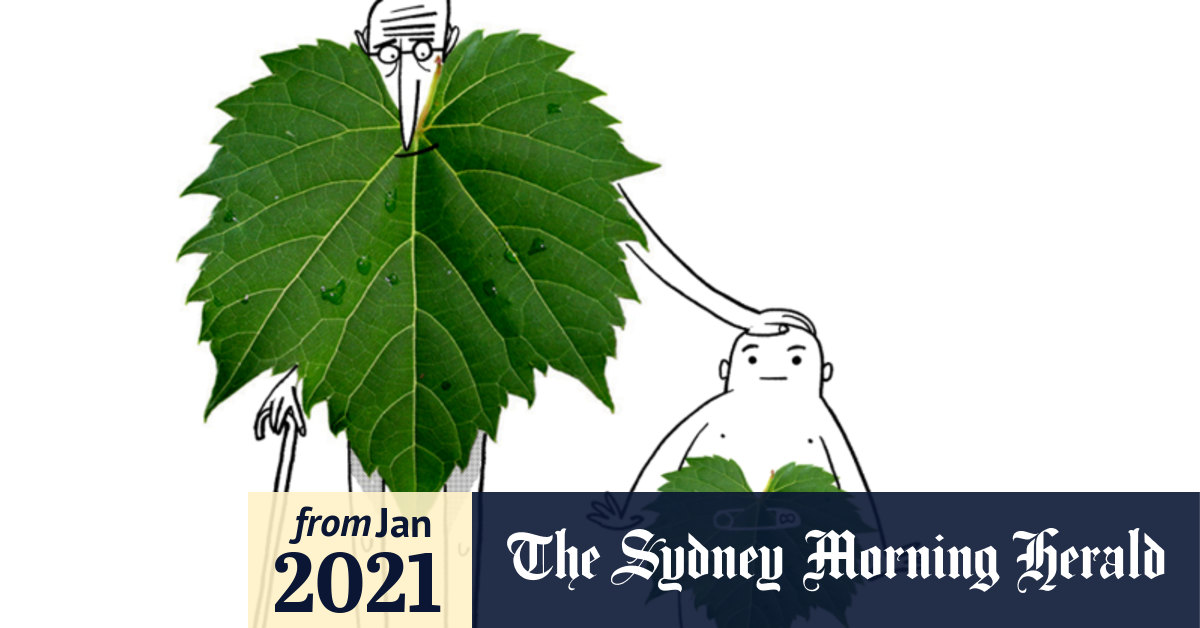 Do Older Vines Produce Better Wine In Australia