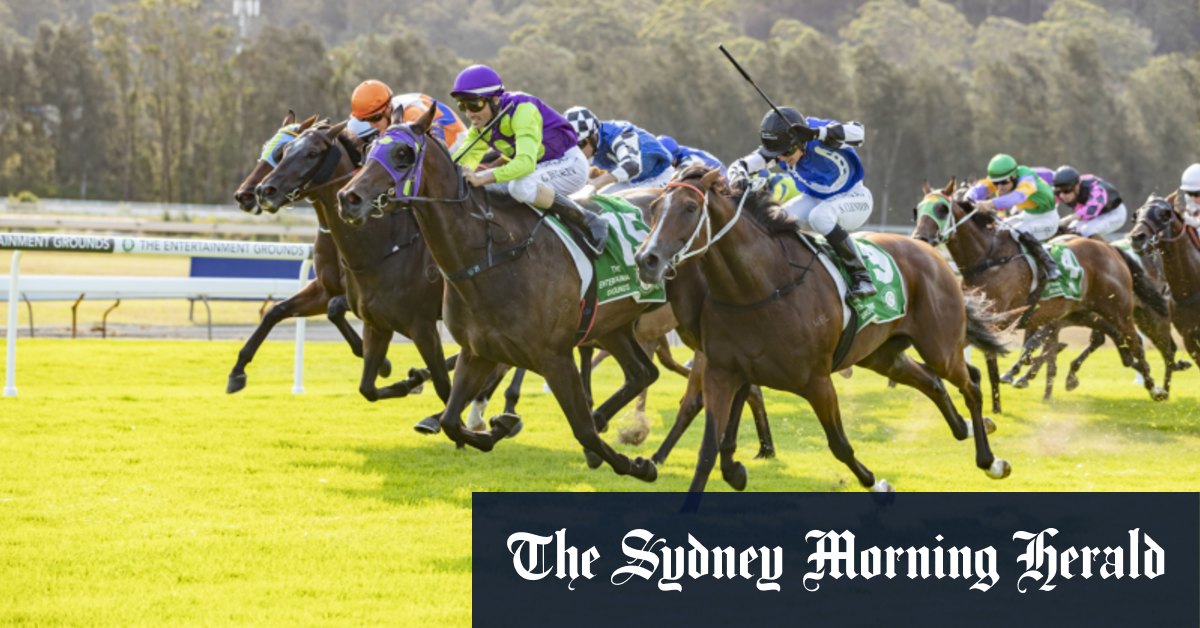 Race-by-race preview and tips for Gosford on Wednesday