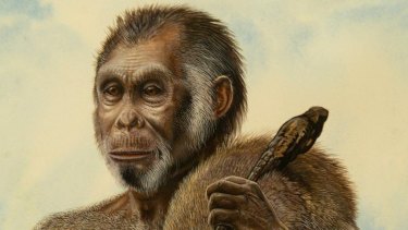 An artist's impression of Homo floresiensis.