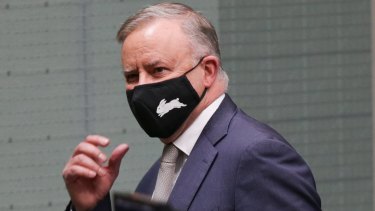 Opposition Leader Anthony Albanese. 