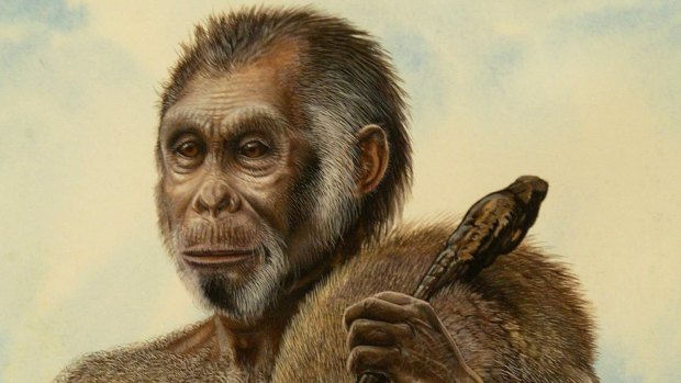 An artist's impression of Homo floresiensis.