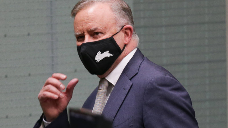 Liberals question Albanese’s Rabbitohs tip-off on COVID isolation laws