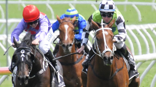 Checkered passage: Exoteric goes to the front in the 
City Tatts Club Cup at Randwick.