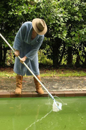 Professor Fry, in less-than-adequate protective gear, fishing spiders out of his pool circa 2000.
