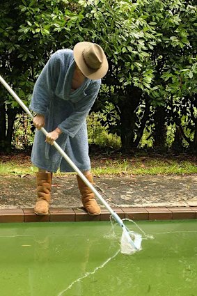 Professor Fry, in less-than-adequate protective gear, fishing spiders out of his pool circa 2000.