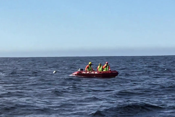 Marine Rescue NSW volunteers helped to free the whale this afternoon.