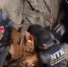 GIF Laos first rescue