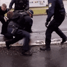 Police dog GIF