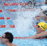 Swimming gif.