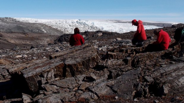 The Isua site in Greenland where Professor Allen Nutman and colleagues found what they believe are the world's oldest fossils: stromatolites dating back 3.7 billion years.