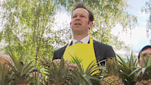 Nationals Leader Matt Canavan pushes for Labor to abandon any move to allow pineapple imports. 