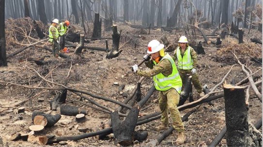 Australian Defence Force personnel assist the ABC to restore broadcasting services by clearing bushfire debris around a tower. 