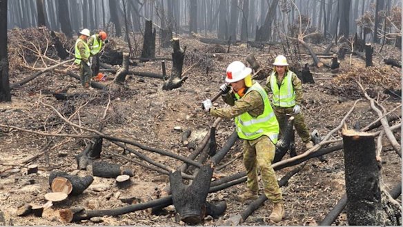Australian Defence Force personnel assist the ABC to restore broadcasting services by clearing bushfire debris around a tower. 