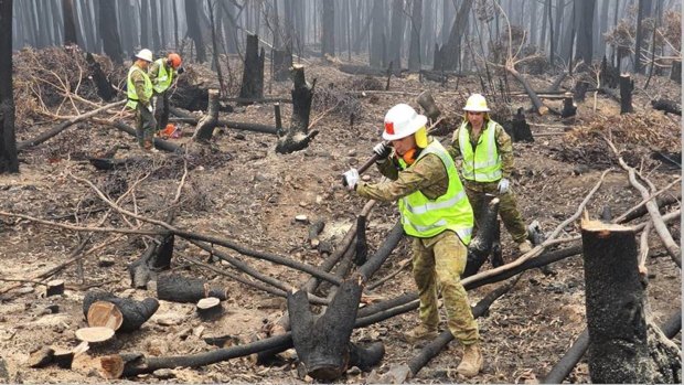 Australian Defence Force personnel assist the ABC to restore broadcasting services by clearing bushfire debris around a tower. 