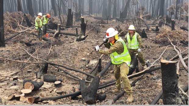 Australian Defence Force personnel assist the ABC to restore broadcasting services by clearing bushfire debris around a tower. 