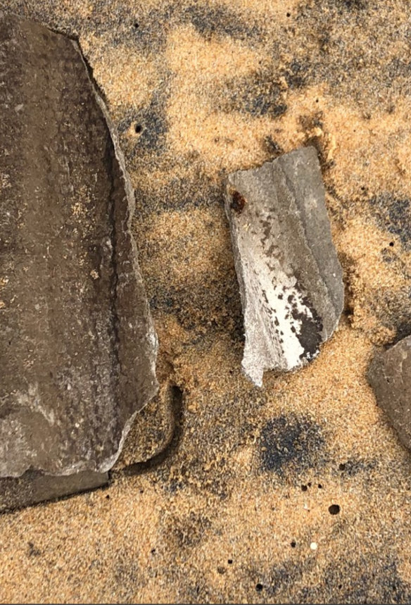 Deadly asbestos is washing up along Wamberal and Terrigal Beaches. 