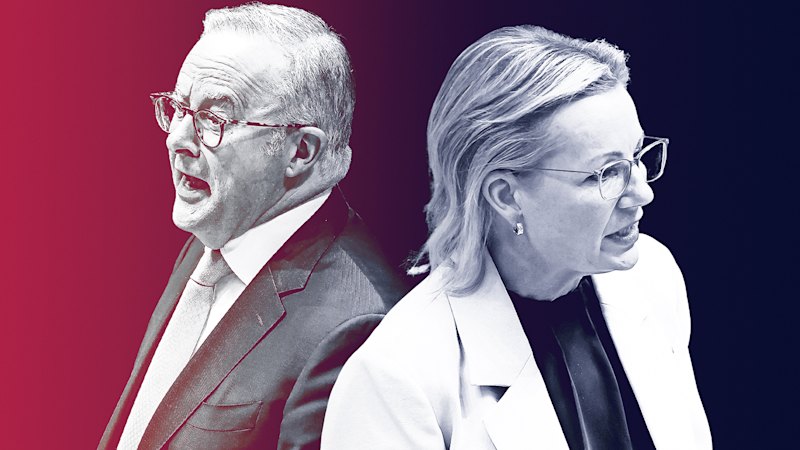 Infighting and backbiting fail to dent Coalition: poll