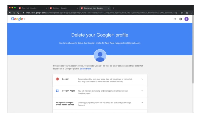 Google will ask if you are sure you want to delete your Plus profile.